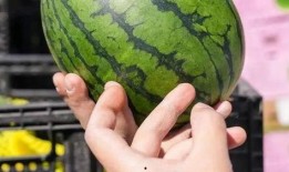 瓜老师,开启人生新篇章